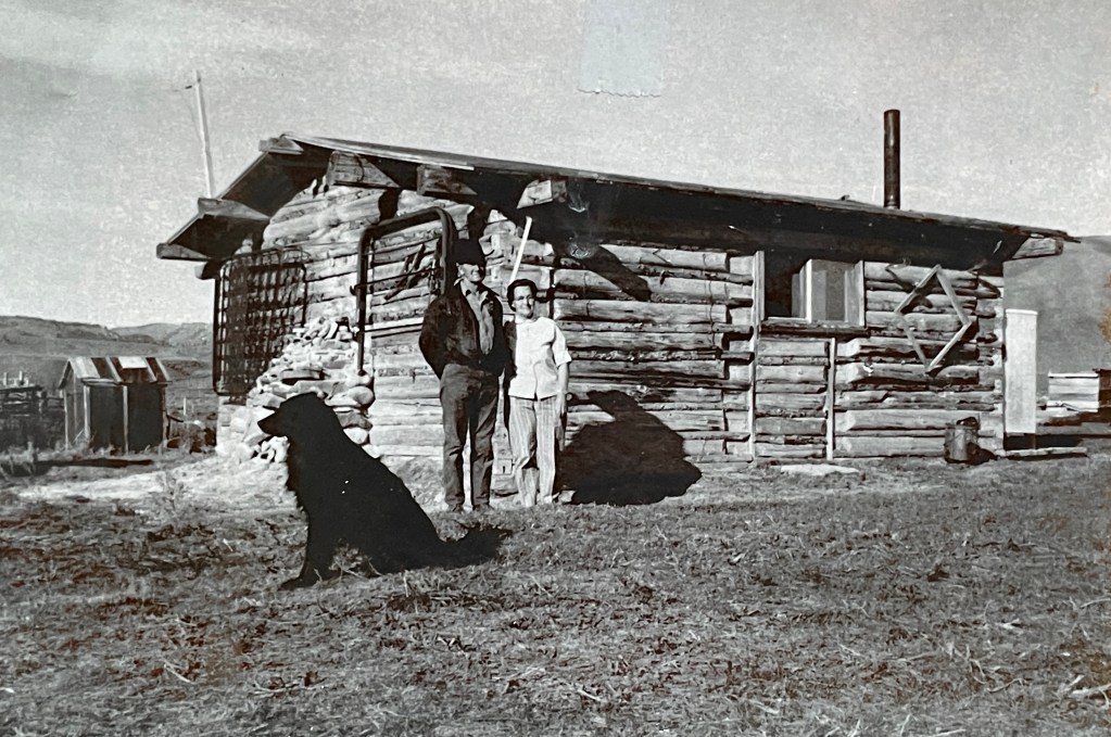 20210623 204904838 iOS